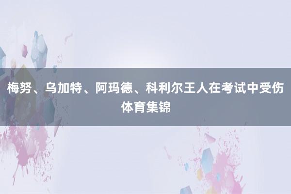 梅努、乌加特、阿玛德、科利尔王人在考试中受伤体育集锦