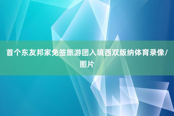 首个东友邦家免签旅游团入境西双版纳体育录像/图片