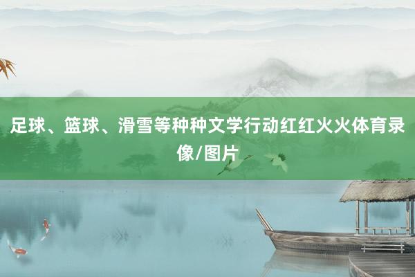 足球、篮球、滑雪等种种文学行动红红火火体育录像/图片