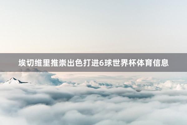 埃切维里推崇出色打进6球世界杯体育信息