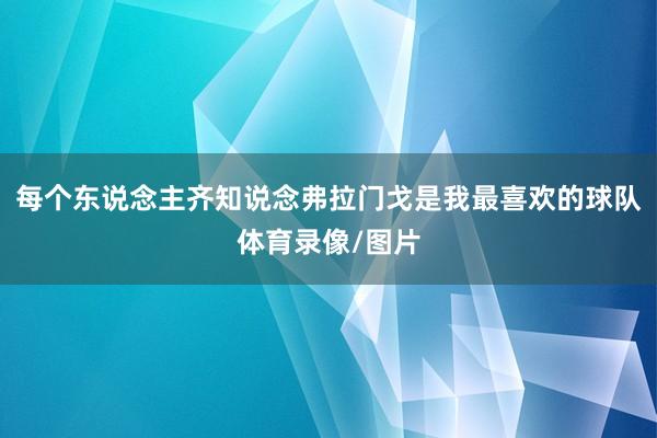 每个东说念主齐知说念弗拉门戈是我最喜欢的球队体育录像/图片