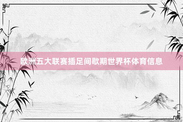 欧洲五大联赛插足间歇期世界杯体育信息