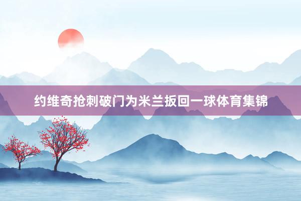 约维奇抢刺破门为米兰扳回一球体育集锦