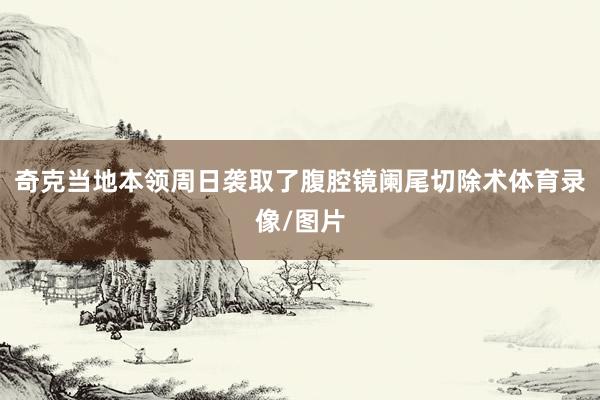奇克当地本领周日袭取了腹腔镜阑尾切除术体育录像/图片