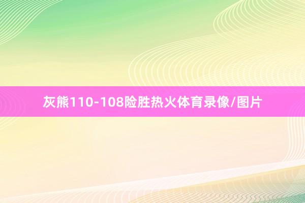 灰熊110-108险胜热火体育录像/图片