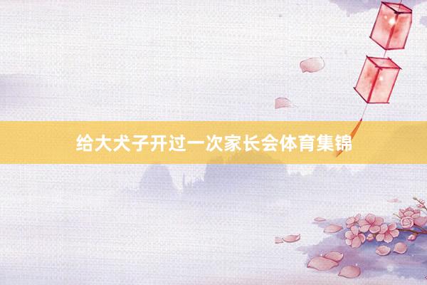 给大犬子开过一次家长会体育集锦