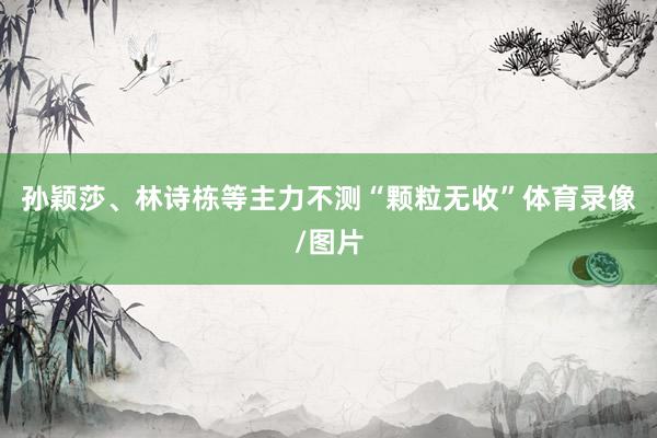 孙颖莎、林诗栋等主力不测“颗粒无收”体育录像/图片