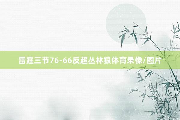 雷霆三节76-66反超丛林狼体育录像/图片