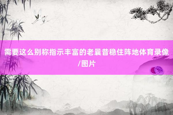 需要这么别称指示丰富的老曩昔稳住阵地体育录像/图片