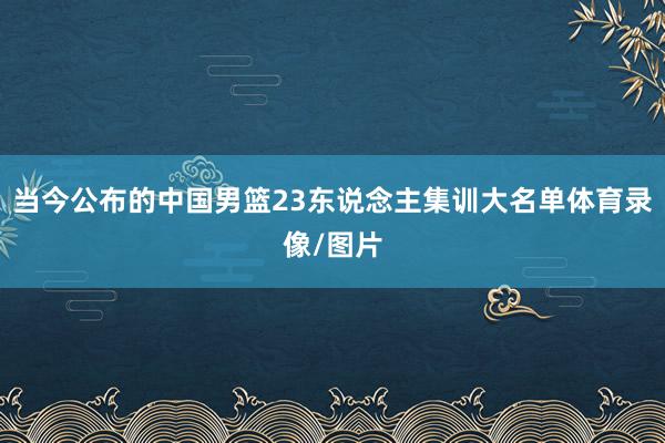 当今公布的中国男篮23东说念主集训大名单体育录像/图片