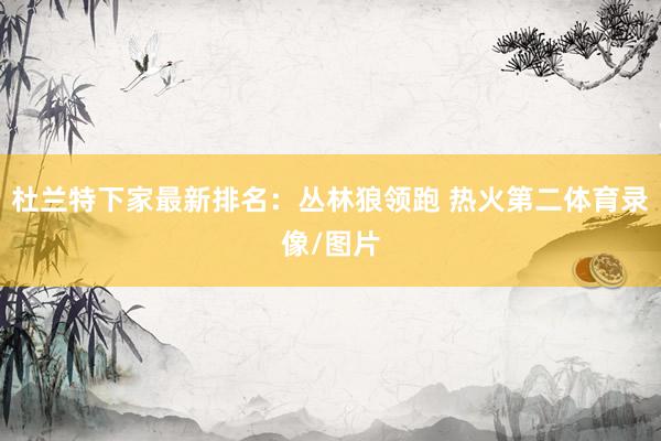 杜兰特下家最新排名：丛林狼领跑 热火第二体育录像/图片