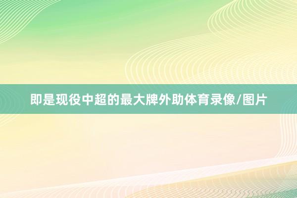 即是现役中超的最大牌外助体育录像/图片