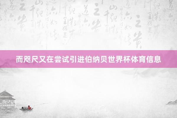 而咫尺又在尝试引进伯纳贝世界杯体育信息