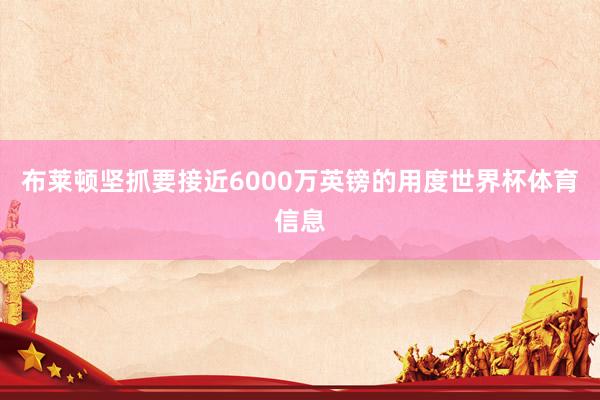 布莱顿坚抓要接近6000万英镑的用度世界杯体育信息