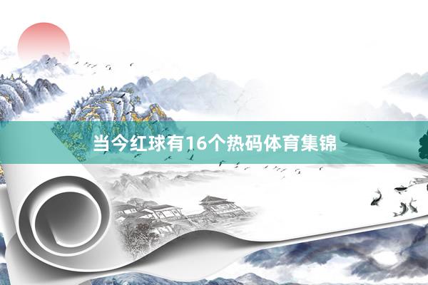 当今红球有16个热码体育集锦