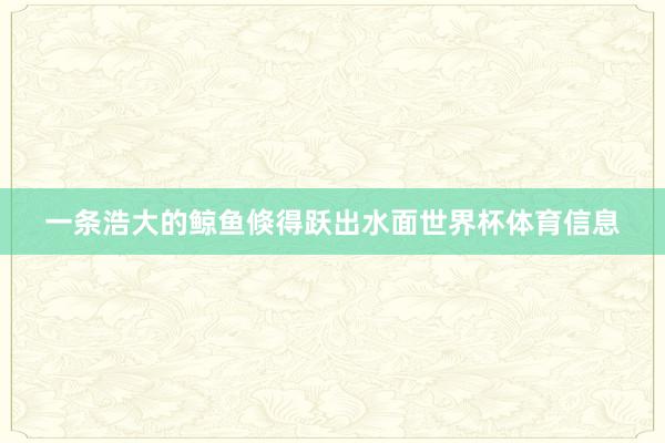 一条浩大的鲸鱼倏得跃出水面世界杯体育信息
