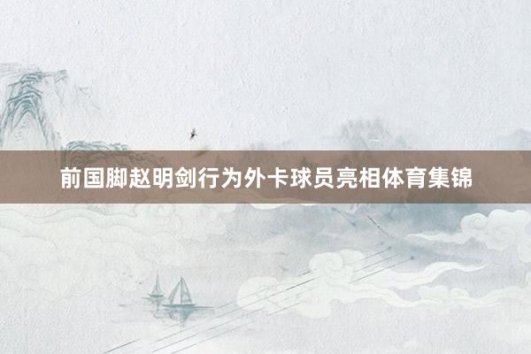 前国脚赵明剑行为外卡球员亮相体育集锦