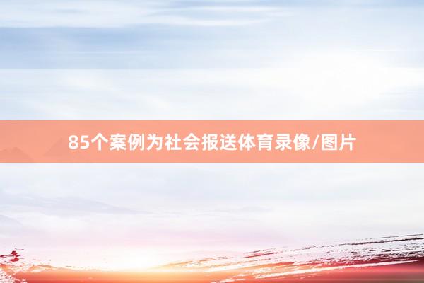 85个案例为社会报送体育录像/图片