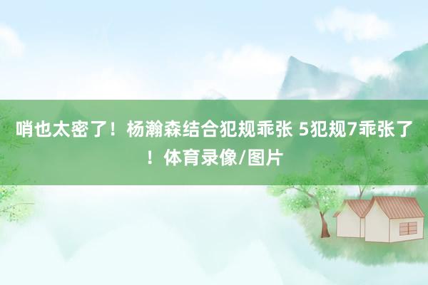 哨也太密了！杨瀚森结合犯规乖张 5犯规7乖张了！体育录像/图片