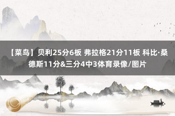 【菜鸟】贝利25分6板 弗拉格21分11板 科比·桑德斯11分&三分4中3体育录像/图片