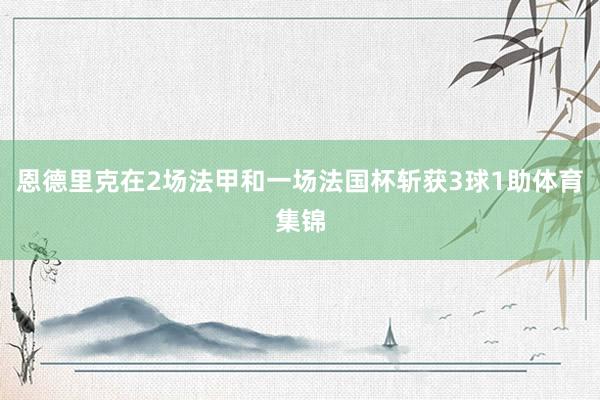 恩德里克在2场法甲和一场法国杯斩获3球1助体育集锦