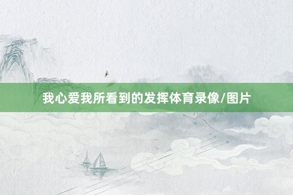 我心爱我所看到的发挥体育录像/图片