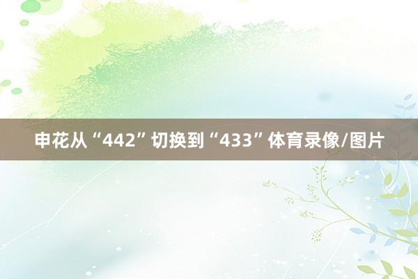 申花从“442”切换到“433”体育录像/图片