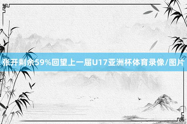 张开剩余59%回望上一届U17亚洲杯体育录像/图片