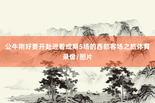 公牛刚好要开赴进看成期5场的西部客场之旅体育录像/图片