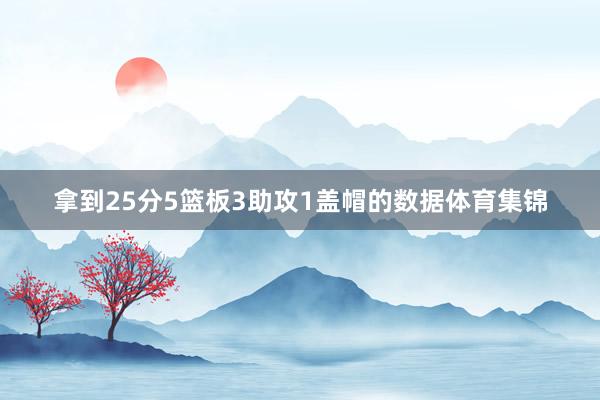 拿到25分5篮板3助攻1盖帽的数据体育集锦