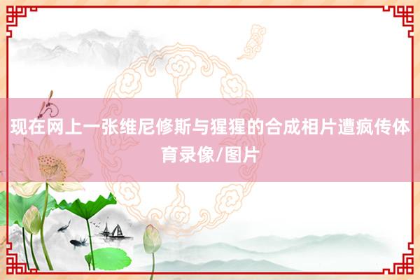现在网上一张维尼修斯与猩猩的合成相片遭疯传体育录像/图片