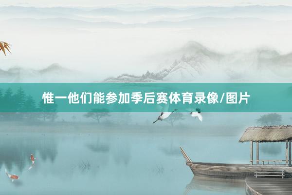 惟一他们能参加季后赛体育录像/图片