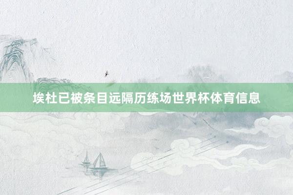 埃杜已被条目远隔历练场世界杯体育信息