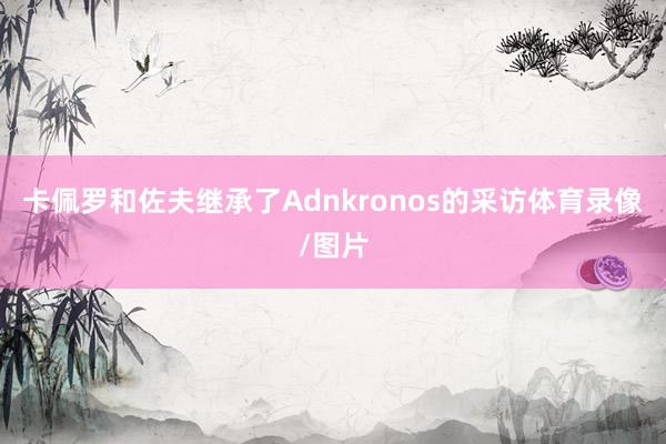 卡佩罗和佐夫继承了Adnkronos的采访体育录像/图片