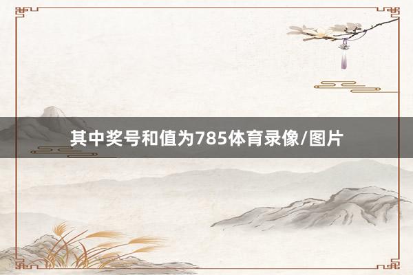 其中奖号和值为785体育录像/图片