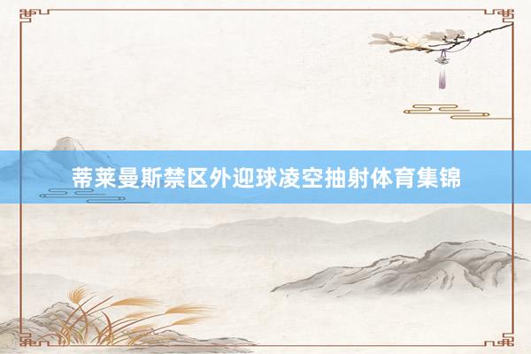 蒂莱曼斯禁区外迎球凌空抽射体育集锦