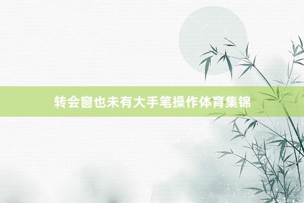 转会窗也未有大手笔操作体育集锦